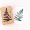 fern leaf rubber stamp